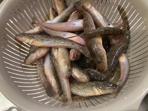 image0 (00A)251028.jpeg